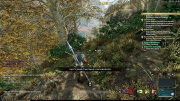 New World Encumbered Bug