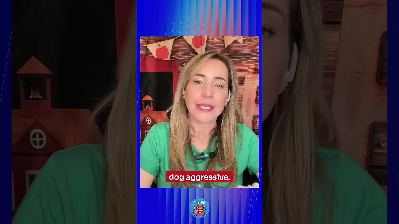 Reactive Doesn’t Always Mean Aggressive