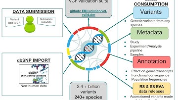 European Variation Archive
