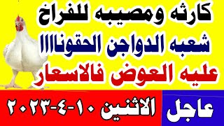 اسعار الفراخ البيضاء اليوم/ سعر الفراخ البيضاء اليوم الاثنين 10-4-2023 في مصر #بورصه_الدواجن