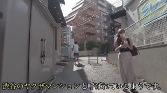 三本杉一家 Youtube