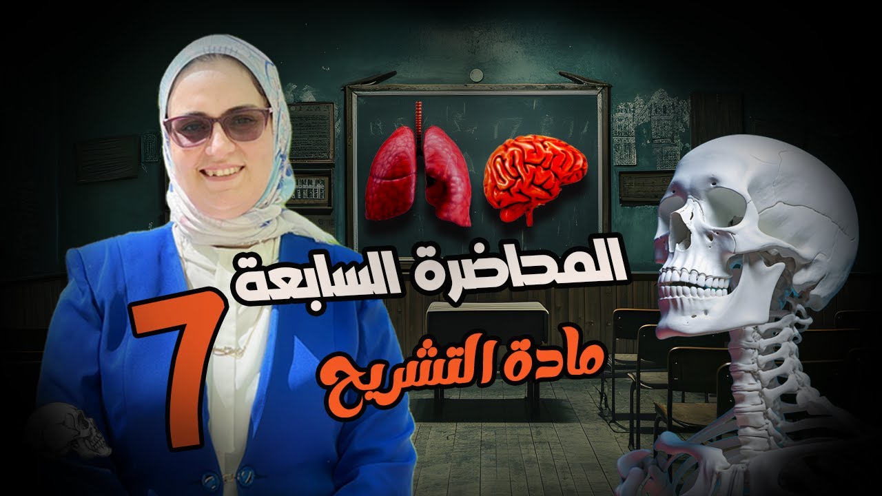 الجهاز التنفسي (The Respiratory System)