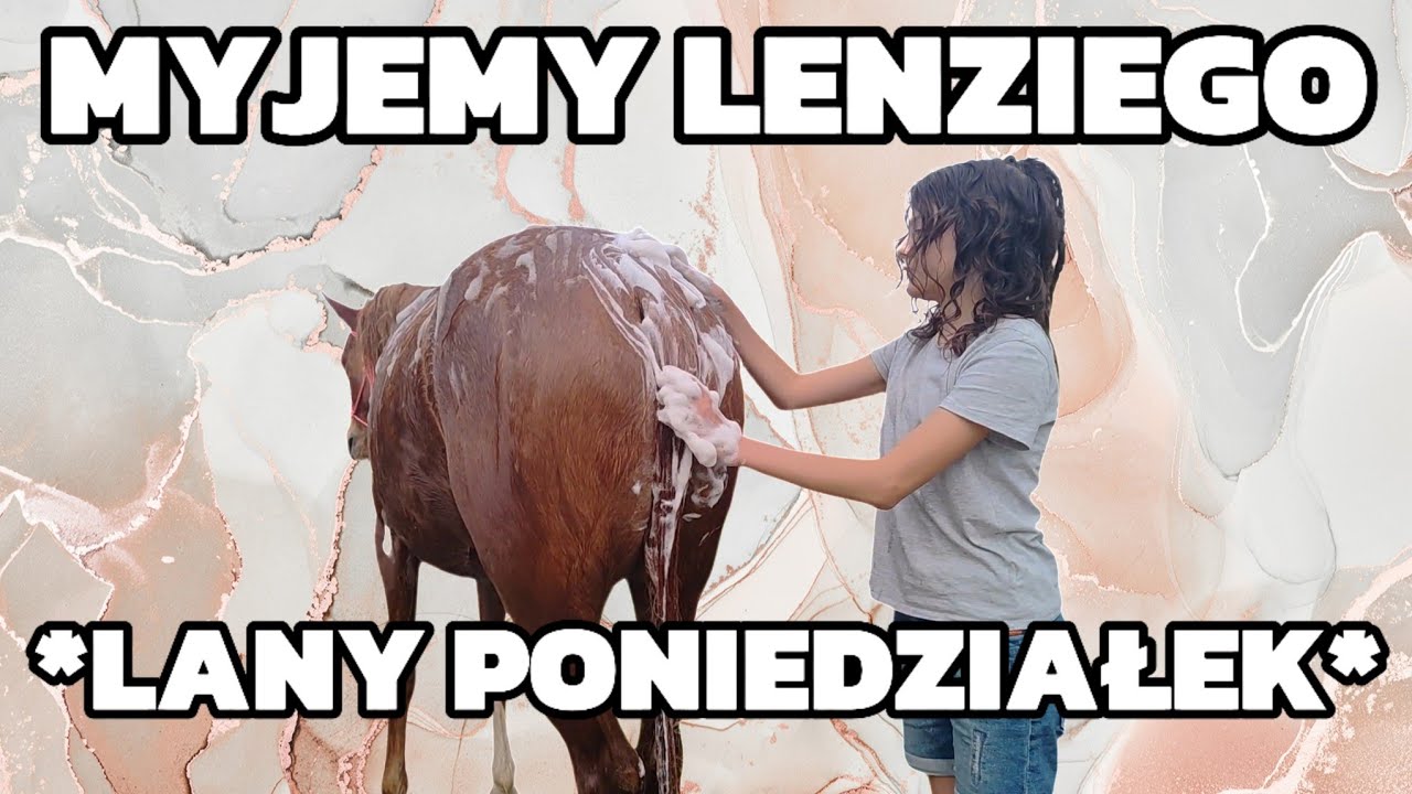 ✨️LANY PONIEDZIAŁEK W STAJNI✨️