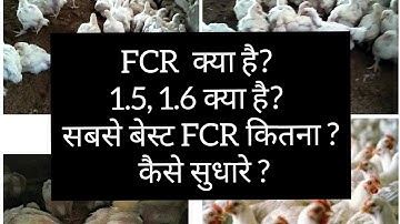 FCR in Broilers