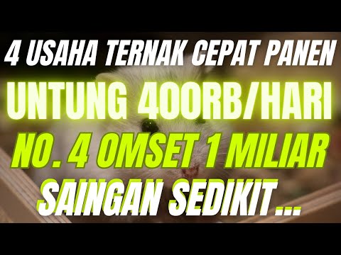 Video: Bisnis apa yang paling menguntungkan?