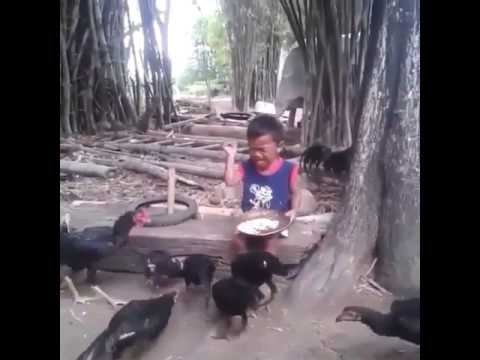 Video Lucu Anak Kecil Nangis Makanan Nya Di Makanin Ayam Video Lucu Anak Kecil Nangis Makanan Nya Di Makanin Ayam