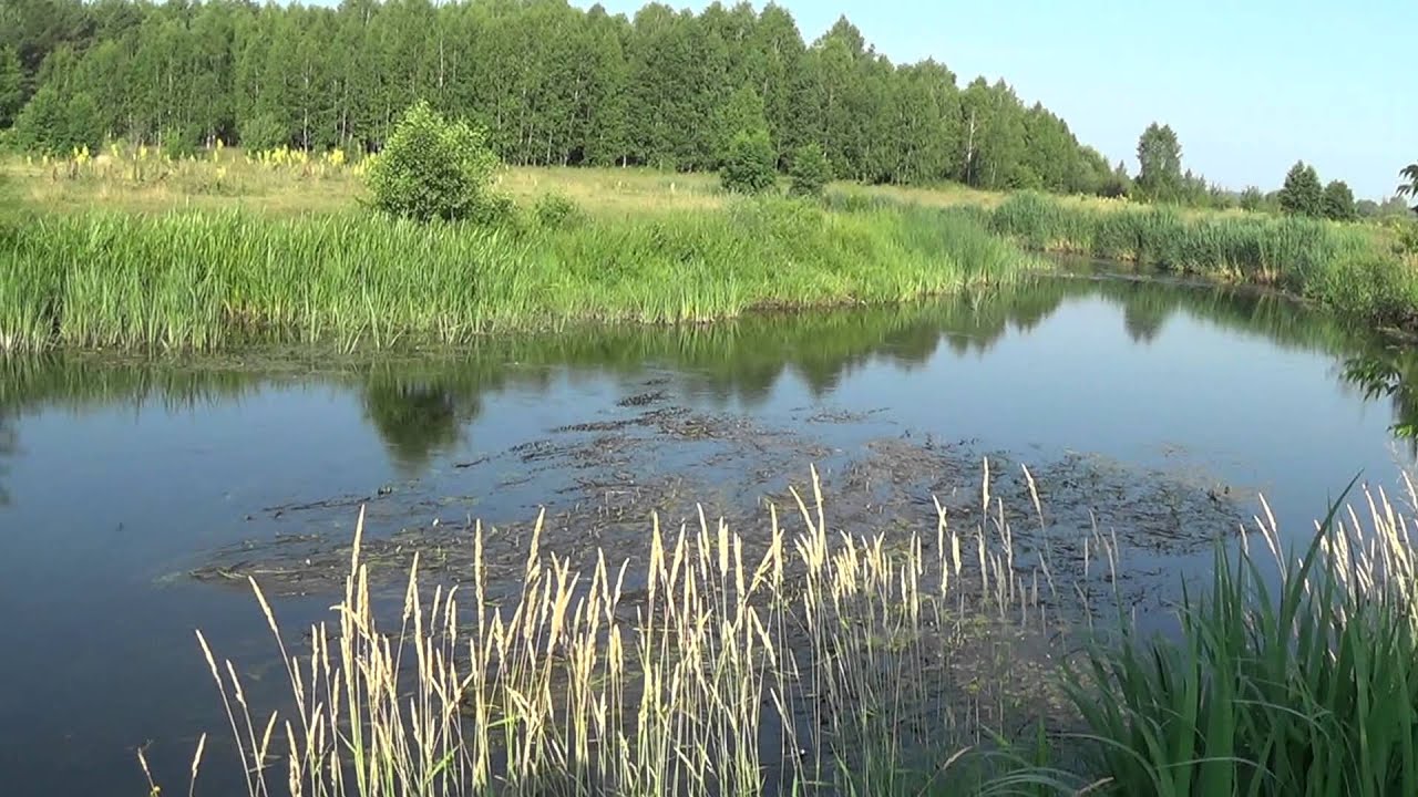 Волга речка минус