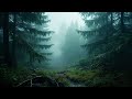 Healing Piano & Rain Sounds 🌿 Relaxing Music for Mental Health & Anxiety Relief 🌿