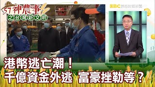 港幣逃亡潮！千億資金外逃 富豪挫勒等？《57神農事》胡忠信 李佳玲 20200529-2