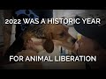 2022 Was a Historic Year for Animal Liberation