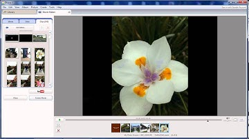 How to make a Video from Picasa