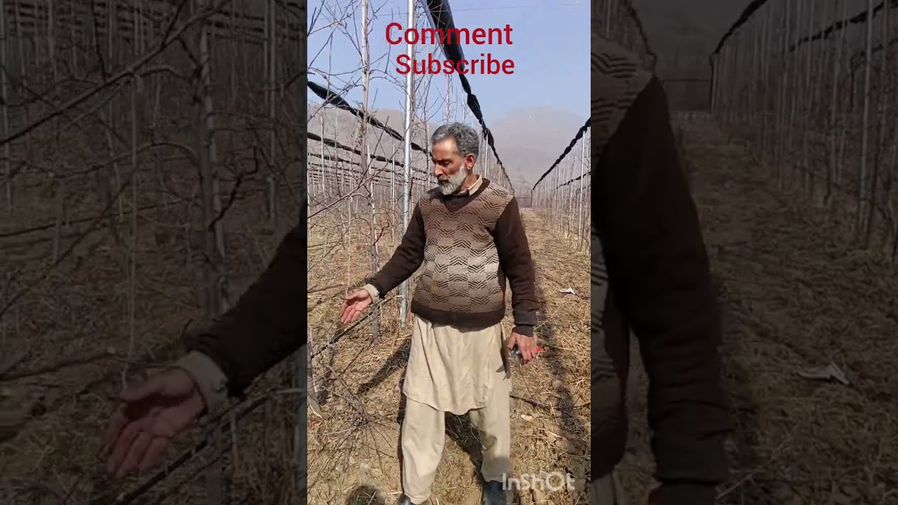 M9 schinico gala pruning 🌲 mohd Afzal dar full video 