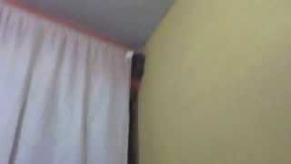 Video De Cámara Web Del 29 De Noviembre De 2014 1703 Pst