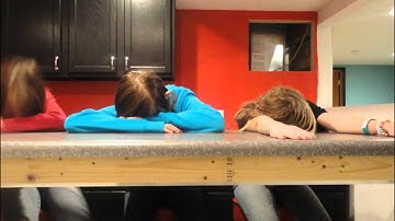 The Lazy Song (stopmotion)