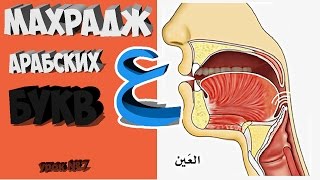 Махрадж Букв Урок №7 буква Махрадж Букв Урок №7 буква