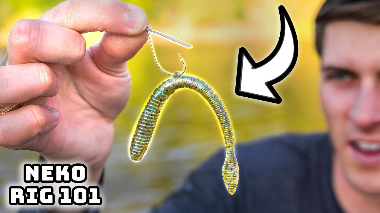 Learn To Fish The NEKO RIG In 2025! (Bass Fishing Masterclass)