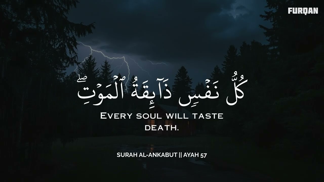 أرح سمعك.. تلاوة هادئة تريح القلب والعقل🩵😴 | ساعة كاملة🕛🎧 القارئ محمد هشام | Mohamed Hesham