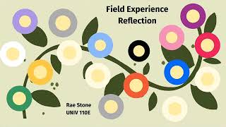 Field Experience Reflection Rae S