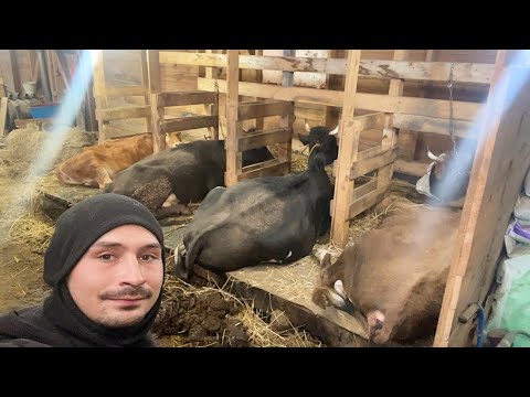 Пришло время тянуть водопровод! Ремонт продолжается! Наша ферма! Жизнь простых людей в деревне!