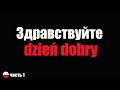 100 Польских слов и фраз для начинающих /  Jezyk polski dla obcokrajowców