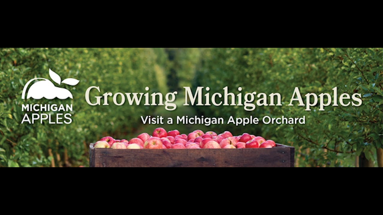 Growing Michigan Apples: Visit a Michigan Apple Orchard