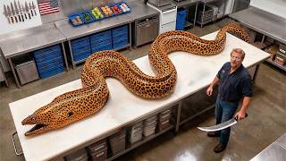 Giant Moray Eel: Catch, Fillet & Cook – You Won't Believe These Knife Skills