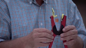 Application of Stock Show Tags