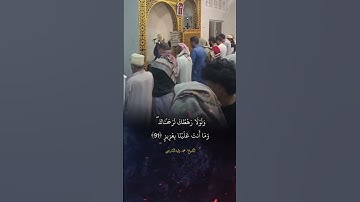 القارئ  محمد وليد الشرعبي مقطع من صلاة التراويح في تعز