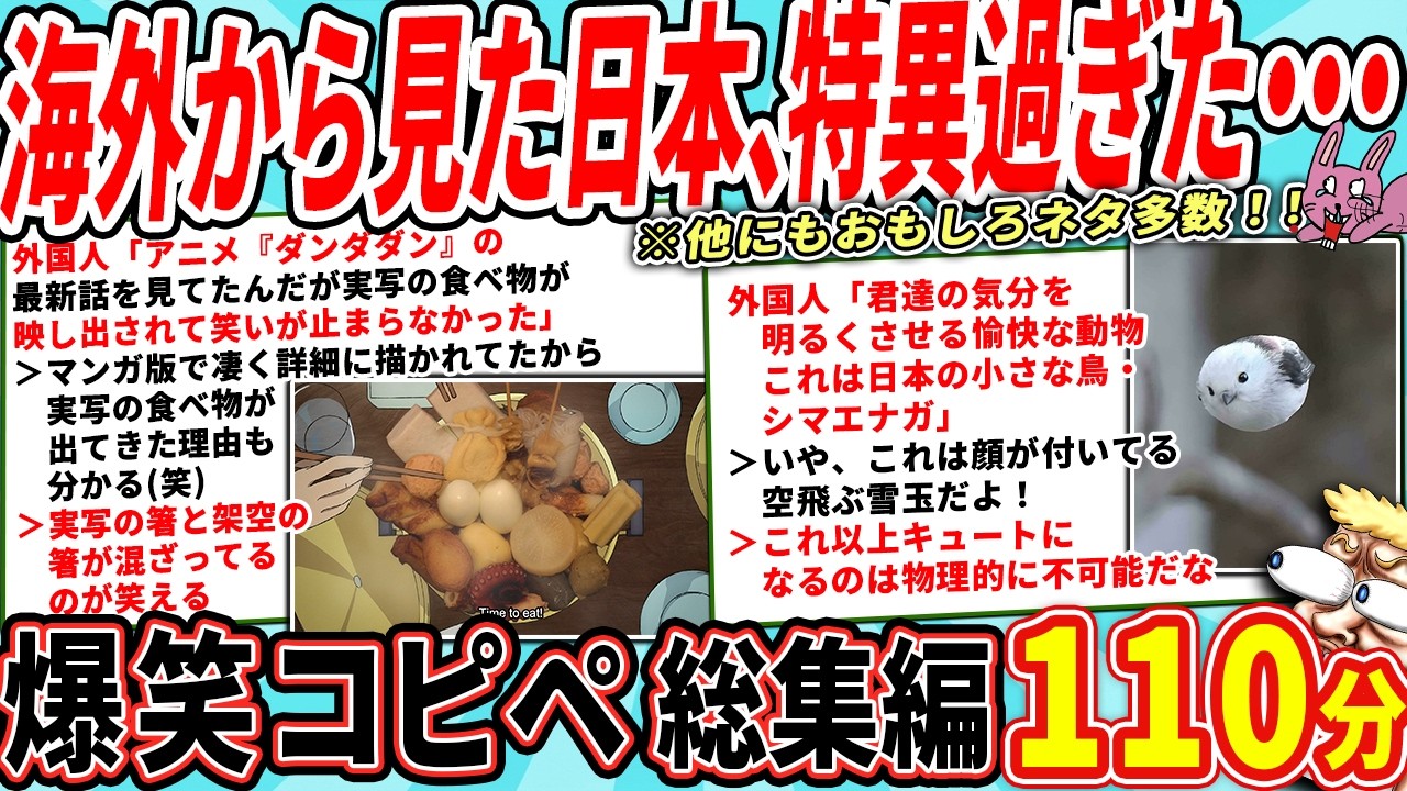 日本のおかしな所が、海外のニキネキにバレて困惑されるｗｗ