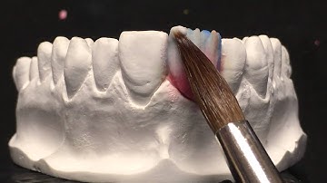 Promo Core&Shell by Noritake Italian Study Club