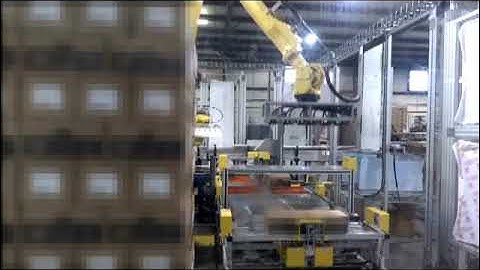 Integrated Robotic Case Packing and Palletizing System | Remtec Automation