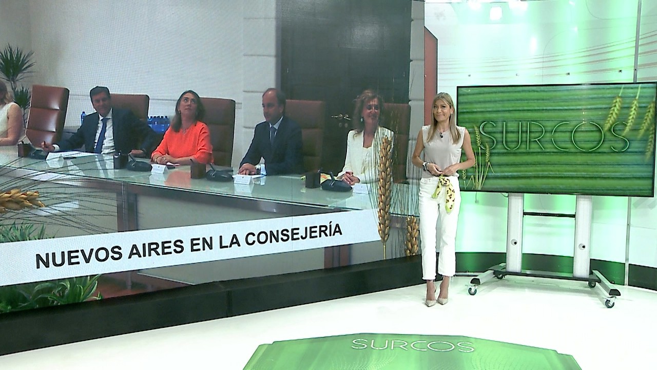 T17/E38: Reacciones ante el nombramiento de Joaquín Antonio Pino como consejero de Agricultura