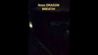 9mm - Dragon's Breath Slugs from a MP5!