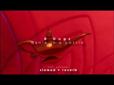 6 Dogs Genie In A Bottle Slowed And Reverbed