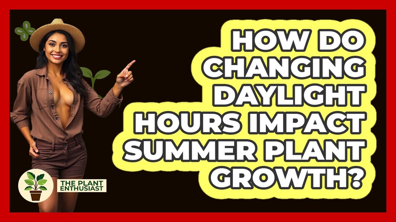 How Do Changing Daylight Hours Impact Summer Plant Growth? - The Plant Enthusiast