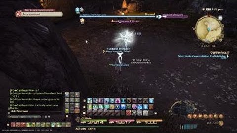 FINAL FANTASY XIV|StormBlood botter / hacker?