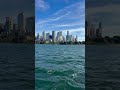 Aesthetic Chicago Vibes Only 🌆
