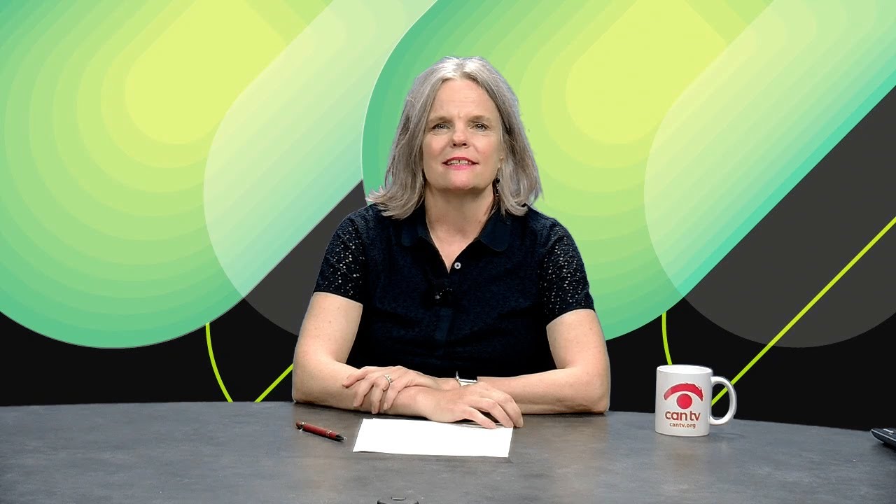 Real Estate and Free Fun in Chicago on The Chicago Money Show