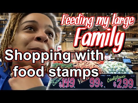foods stamps haul at  Wegmans using my EBT for large family shopping with #foodstamps #wegmans