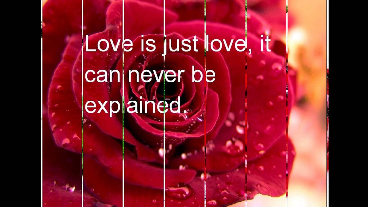 Happy Rose Day 2015 images,wallpapers,pics