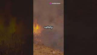Trabuco Canyon Fire: 8,500 Acres Burned!