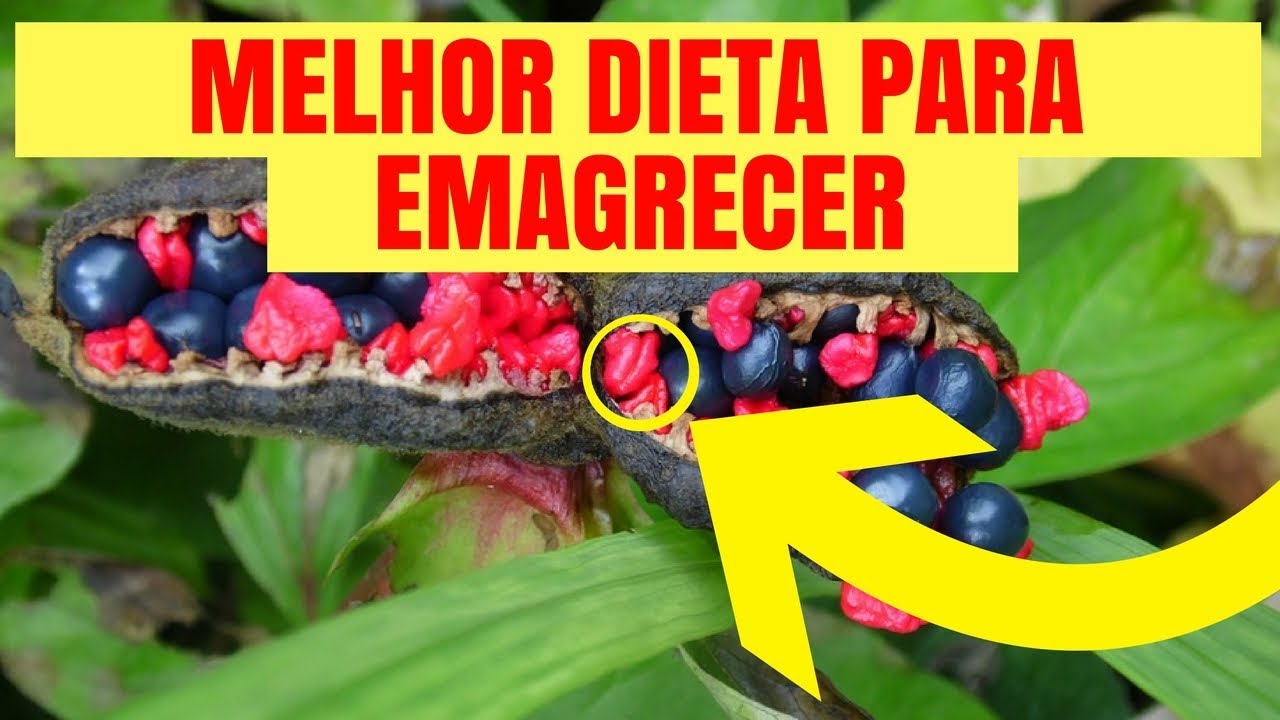dieta rapida di emagrecer pdf