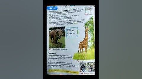 Class 3, science,ch 4,part 2 by seetha