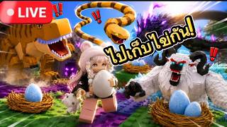 📌 LIVE ROBLOX : มาเล่นด้วยกัน 💖 📌 LIVE ROBLOX : มาเล่นด้วยกัน 💖