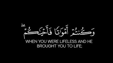 الذين ينقضون عهد الله من بعد ميثاقه | الشيخ د. ماهر المعيقلي | سوره البقره| كروما شاشة سوداء قرآن|