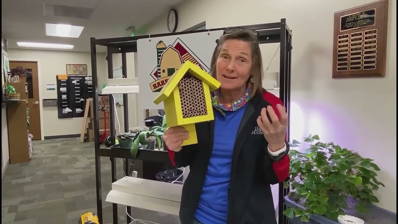 Orchard Mason Bees: Get your houses up now!