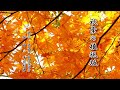 【演歌の花道】『秋葉の権現坂』Yoshimi 【ドラマティックな演歌】