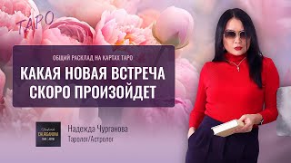 Какая новая встреча, вам предстоит