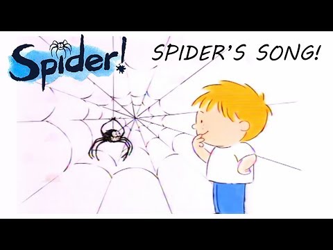 Spider! Episode 6 | Spider's Song | SPIDER IN THE BATH
