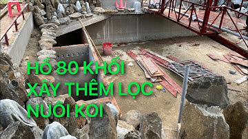 HỒ 80 KHỐI || LÀM LỌC NUÔI KOI || CÁ KOI VLOG TRẦN ĐỨC CƯỜNG